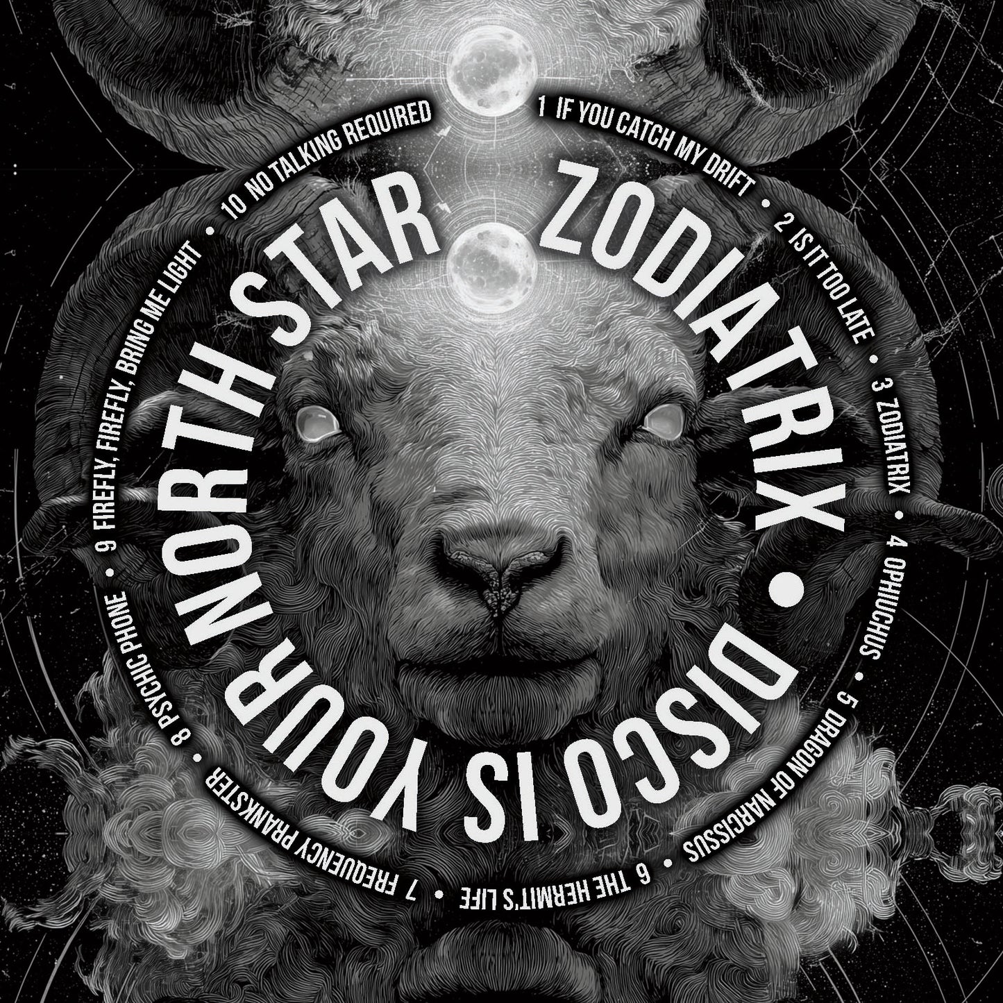 Zodiatrix: Disco is your North Star